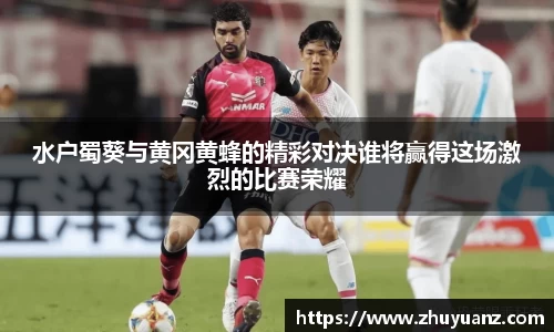 水户蜀葵与黄冈黄蜂的精彩对决谁将赢得这场激烈的比赛荣耀